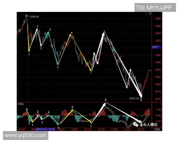 上海网球队反击战术深度分析与实战应用探讨