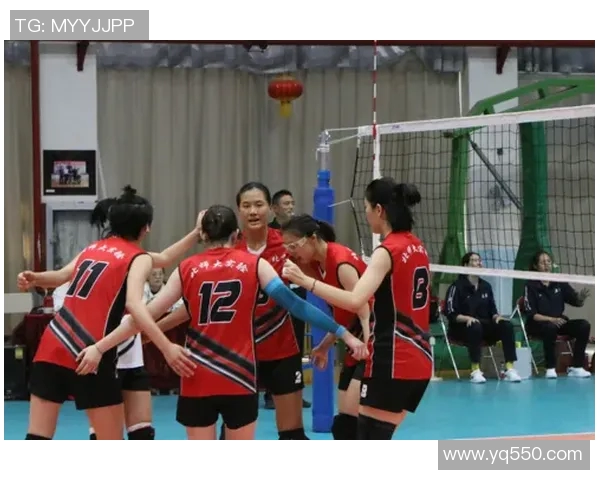 北京排球队荣登排球配合排行榜首位引领全国排球新风潮