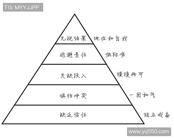 成都排球队灵活性探讨：战术创新与团队协作的完美结合