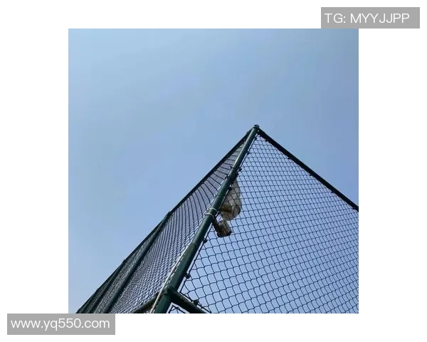 深圳网球队的灵活性揭秘：网球巨献背后的训练与策略探索