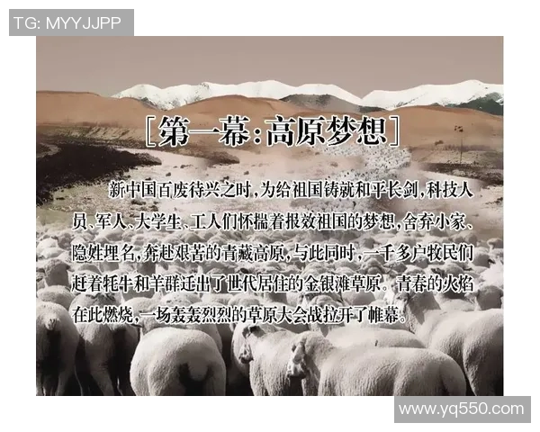 追寻那份纯粹足球精神的明星背后故事与荣耀之路 追寻那份纯粹足球精神的明星背后故事与荣耀之路