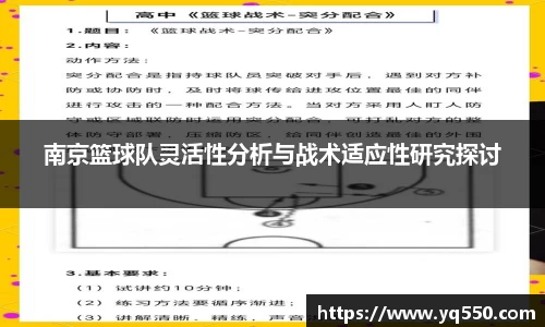 南京篮球队灵活性分析与战术适应性研究探讨