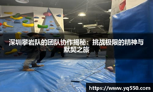 深圳攀岩队的团队协作揭秘：挑战极限的精神与默契之旅